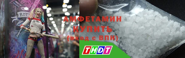 стаф Бородино