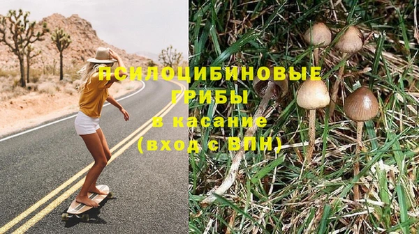 трава Богданович
