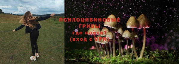 прущие крисы Белокуриха